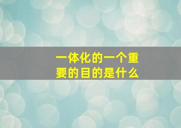 一体化的一个重要的目的是什么