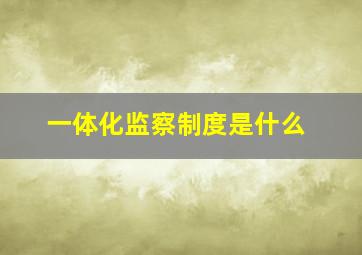 一体化监察制度是什么