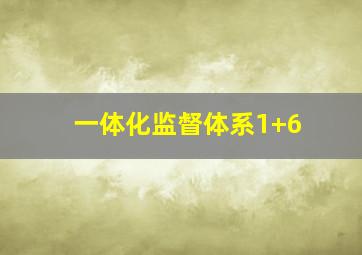 一体化监督体系1+6