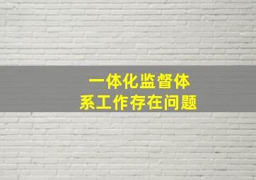 一体化监督体系工作存在问题