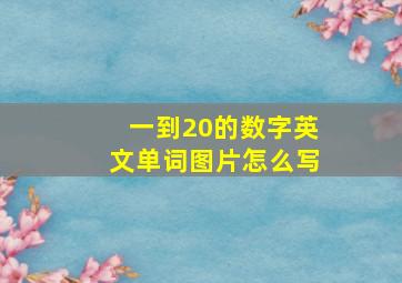 一到20的数字英文单词图片怎么写