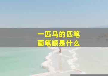 一匹马的匹笔画笔顺是什么