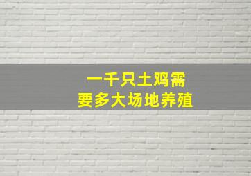 一千只土鸡需要多大场地养殖