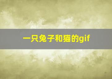 一只兔子和猫的gif