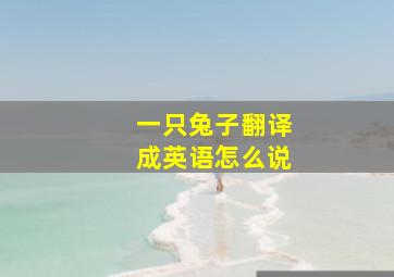 一只兔子翻译成英语怎么说