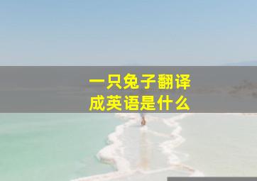 一只兔子翻译成英语是什么