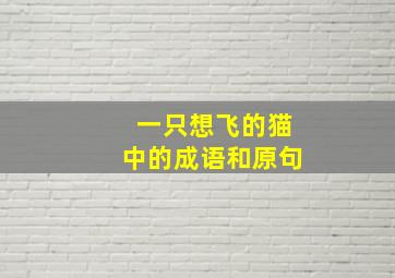 一只想飞的猫中的成语和原句