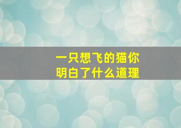 一只想飞的猫你明白了什么道理