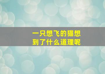 一只想飞的猫想到了什么道理呢