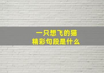 一只想飞的猫精彩句段是什么