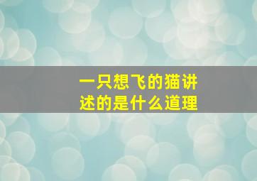 一只想飞的猫讲述的是什么道理