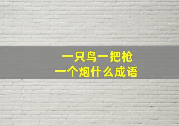 一只鸟一把枪一个炮什么成语