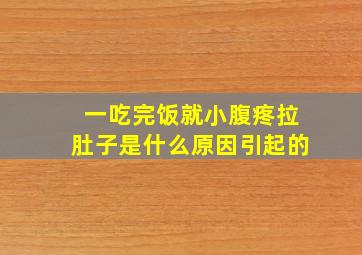 一吃完饭就小腹疼拉肚子是什么原因引起的