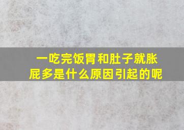 一吃完饭胃和肚子就胀屁多是什么原因引起的呢