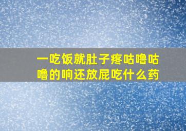 一吃饭就肚子疼咕噜咕噜的响还放屁吃什么药