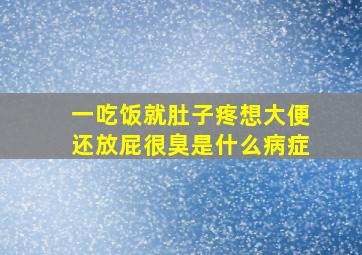 一吃饭就肚子疼想大便还放屁很臭是什么病症