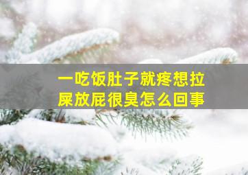 一吃饭肚子就疼想拉屎放屁很臭怎么回事