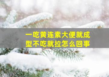 一吃黄连素大便就成型不吃就拉怎么回事