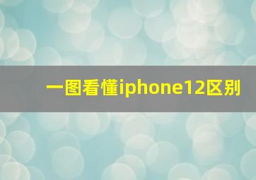 一图看懂iphone12区别