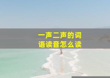 一声二声的词语读音怎么读