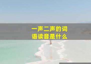 一声二声的词语读音是什么