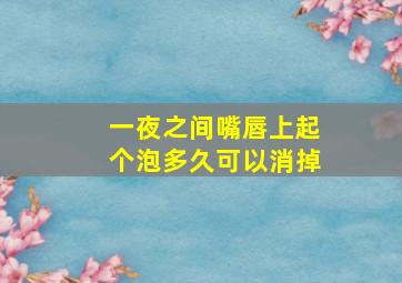 一夜之间嘴唇上起个泡多久可以消掉