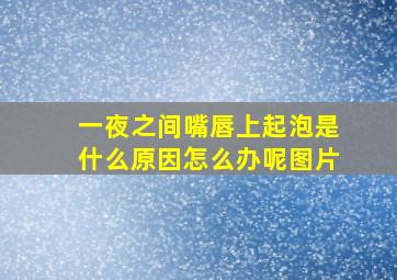 一夜之间嘴唇上起泡是什么原因怎么办呢图片