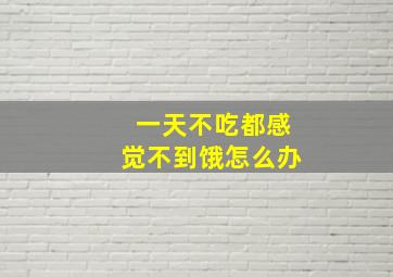 一天不吃都感觉不到饿怎么办