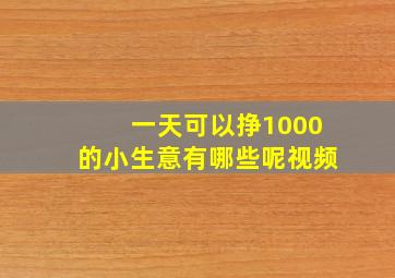 一天可以挣1000的小生意有哪些呢视频