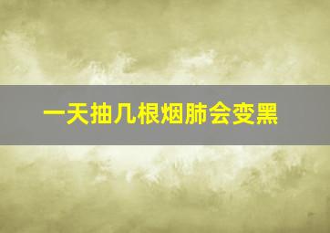 一天抽几根烟肺会变黑