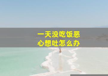 一天没吃饭恶心想吐怎么办