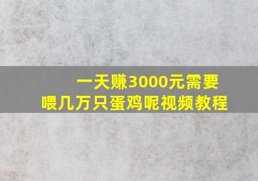 一天赚3000元需要喂几万只蛋鸡呢视频教程