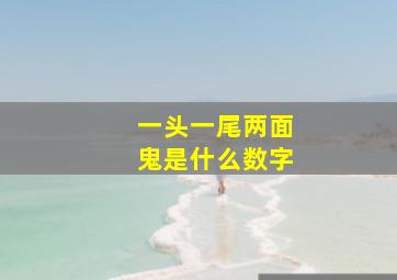 一头一尾两面鬼是什么数字