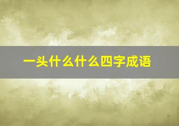 一头什么什么四字成语