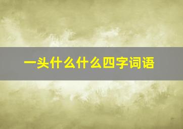 一头什么什么四字词语