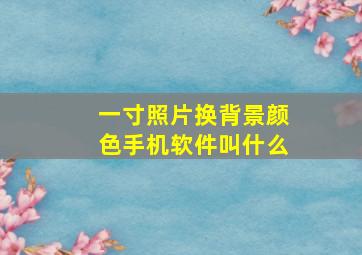 一寸照片换背景颜色手机软件叫什么