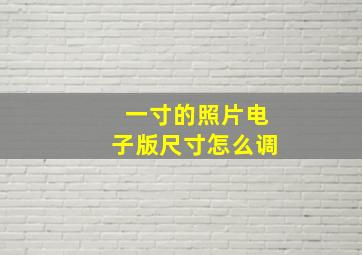 一寸的照片电子版尺寸怎么调