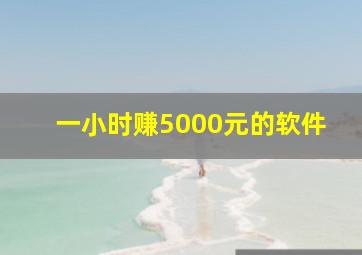 一小时赚5000元的软件