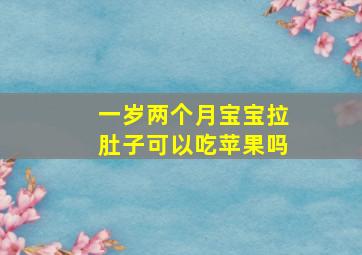 一岁两个月宝宝拉肚子可以吃苹果吗