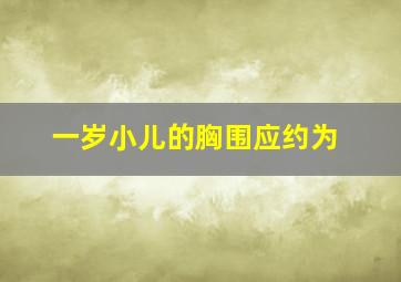 一岁小儿的胸围应约为