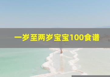 一岁至两岁宝宝100食谱