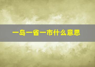 一岛一省一市什么意思