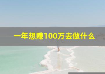 一年想赚100万去做什么