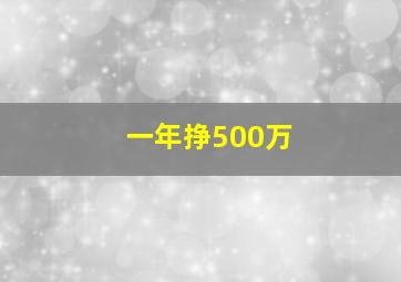 一年挣500万