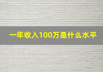 一年收入100万是什么水平