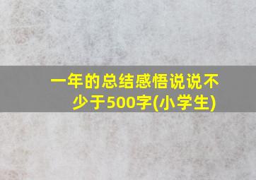 一年的总结感悟说说不少于500字(小学生)