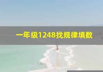 一年级1248找规律填数