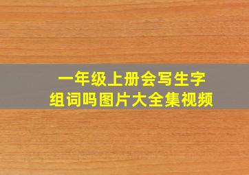 一年级上册会写生字组词吗图片大全集视频