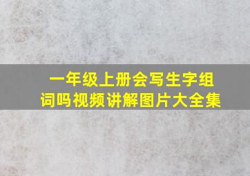 一年级上册会写生字组词吗视频讲解图片大全集