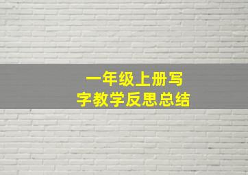 一年级上册写字教学反思总结